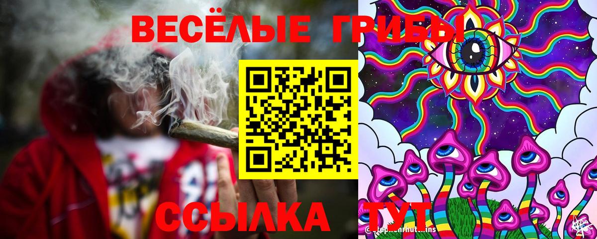 где купить наркоту  Псилоцибиновые грибы Magic Shrooms  Вход с VPN  Сергиев Посад  Псилоцибиновые грибы Cubensis 
