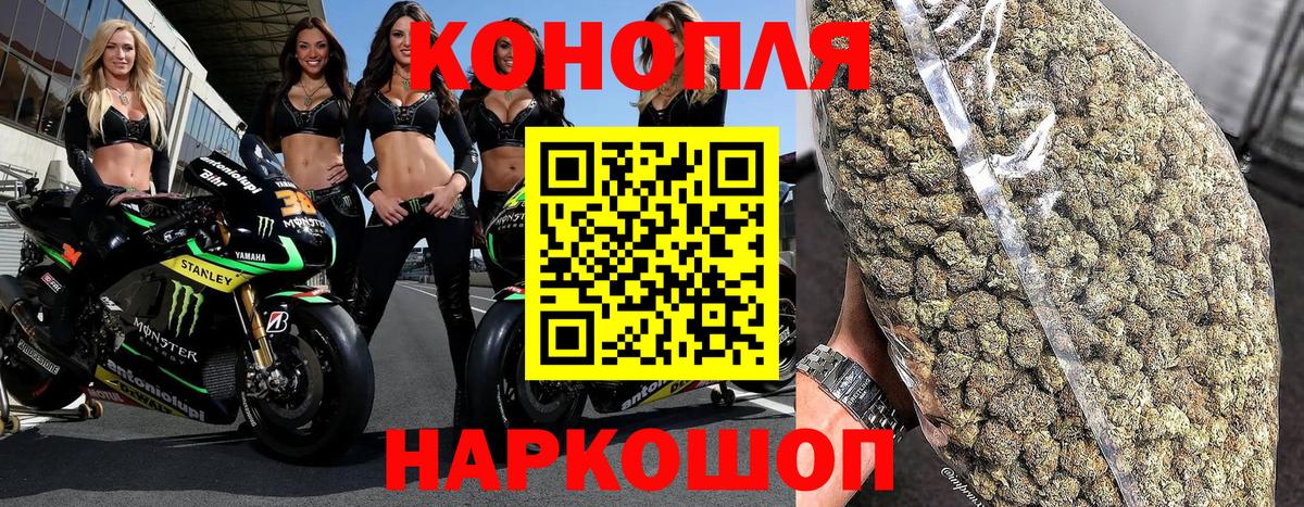 Бошки Шишки ГИДРОПОН Сергиев Посад